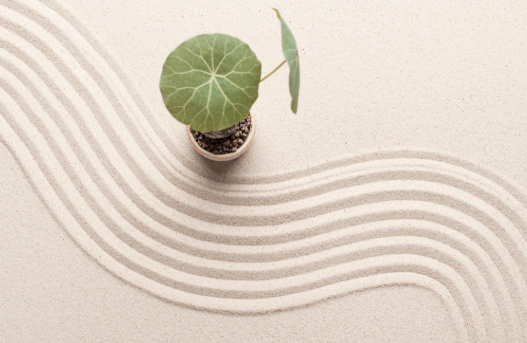 La guía definitiva del Mindfulness sexual: cómo mejorar tu bienestar y conexión íntima - Noctiva
