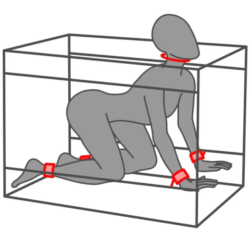 img_192315_0365012bce9da57152a0c7f51eb9b554_1 - Noctiva