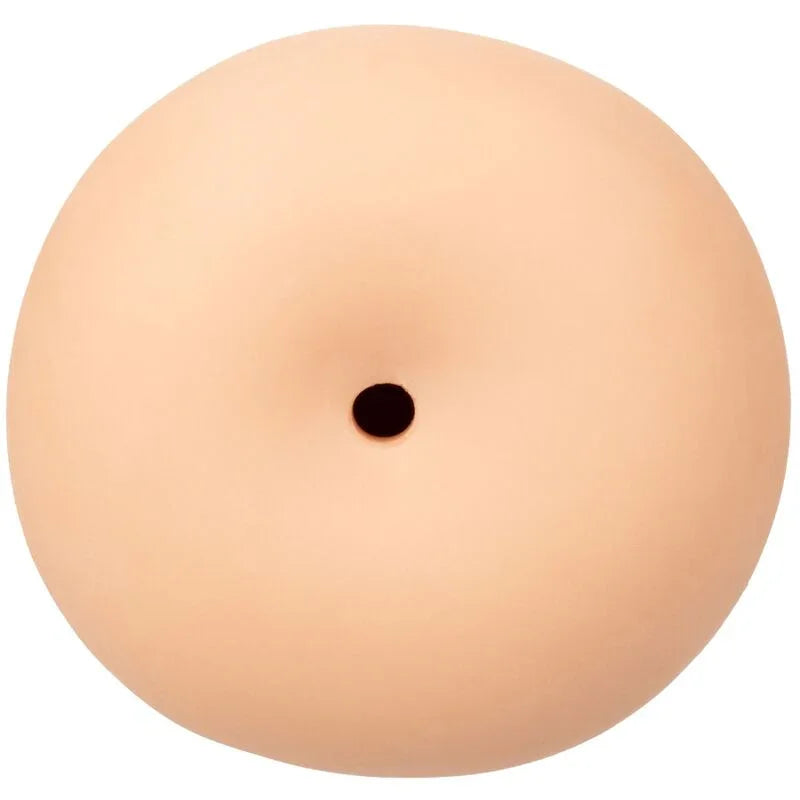 img_110239_11cb1203d224cb9b43b34ee6868643c0_1 - Noctiva