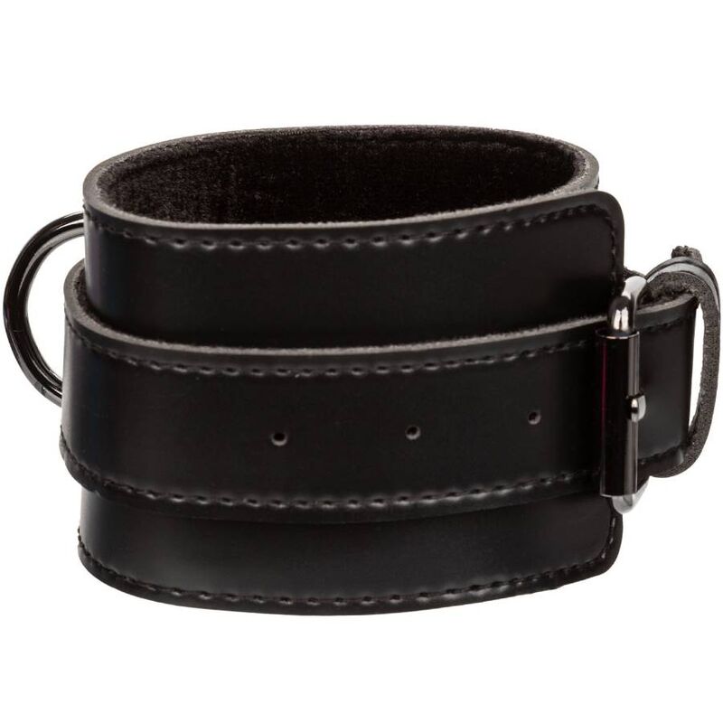 CALEXOTICS - EUPHORIA ESPOSAS - Noctiva